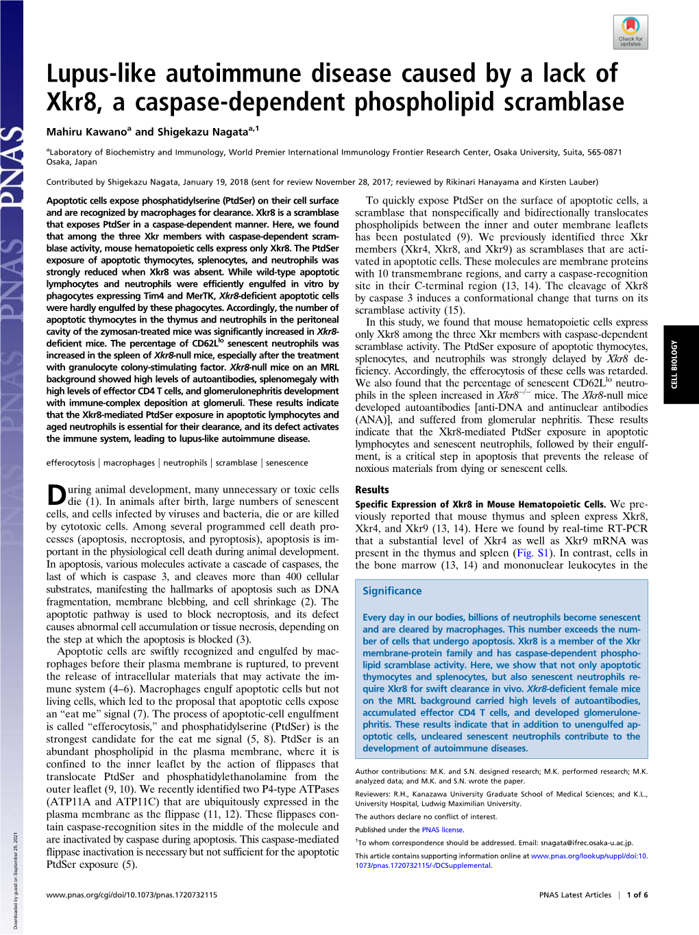 Lupus-Like Autoimmune Disease Caused by a Lack of Xkr8, a Caspase-Dependent Phospholipid Scramblase