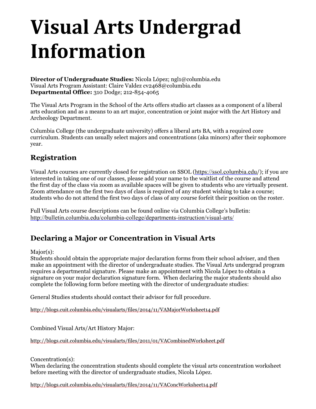 Visual Arts Undergrad Information