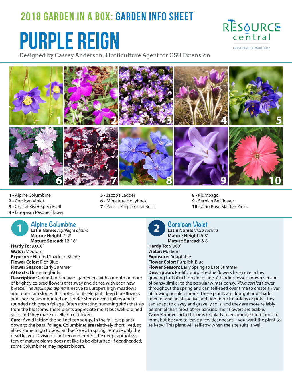 Purple Reign Designed by Cassey Anderson, Horticulture Agent for CSU Extension