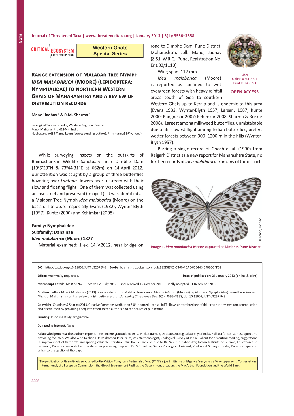 Range Extension of Malabar Tree Nymph Idea Malabarica (Moore) (Lepidoptera: Nymphalidae) to Northern Western Ghats of Maharashtra and a Review of Distribution Records