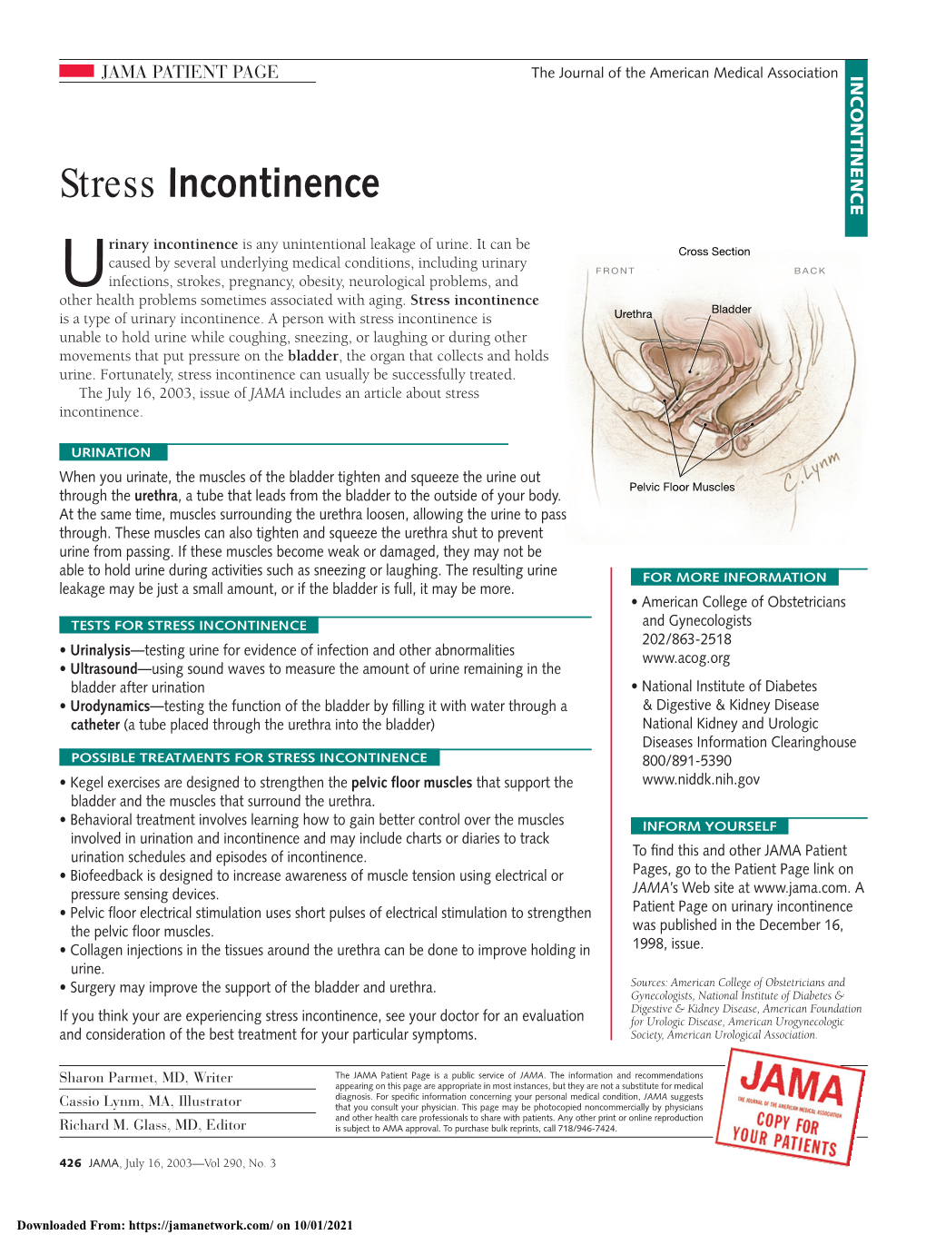 Stress Incontinence