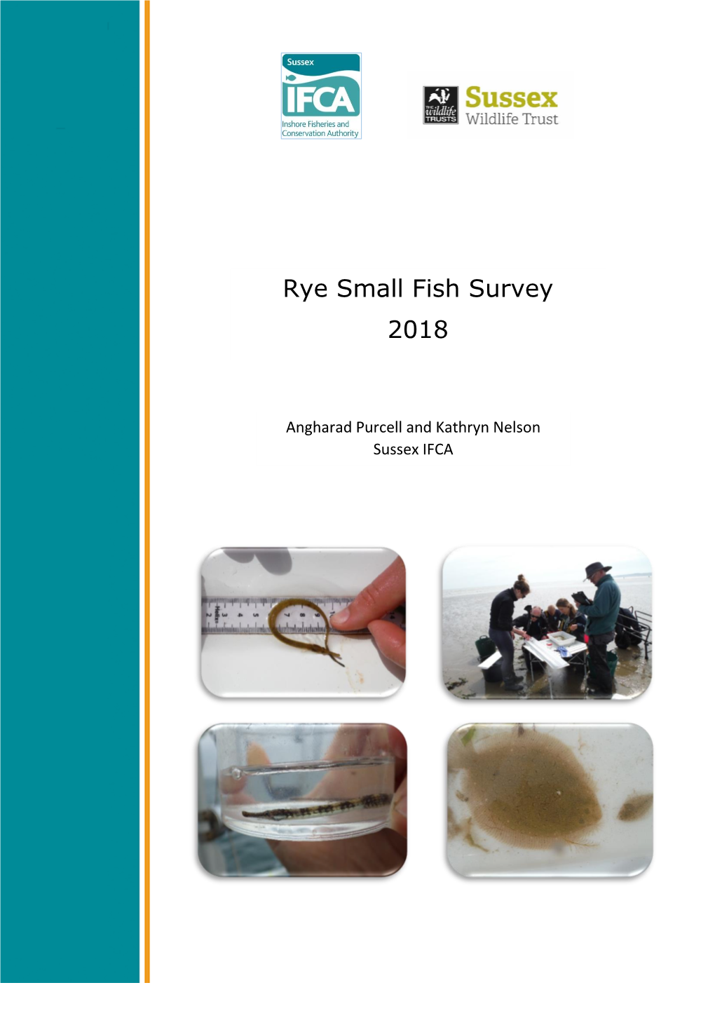 Rye Small Fish Survey 2018