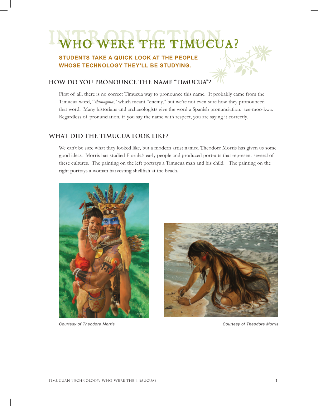 Introduction—Who Were the Timucua?