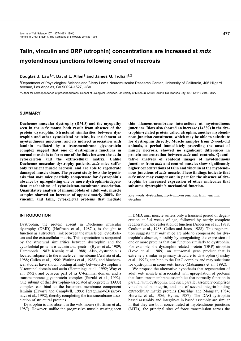 Talin, Vinculin and DRP (Utrophin) Concentrations Are Increased at Mdx Myotendinous Junctions Following Onset of Necrosis