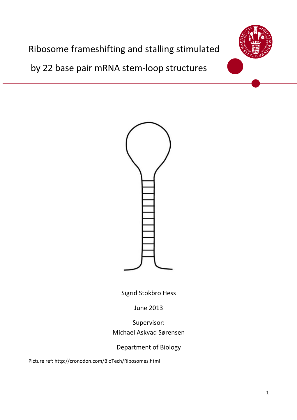 Ribosome Frameshifting and Stalling Stimulated by 22 Base Pair Mrna Stem-Loop Structures