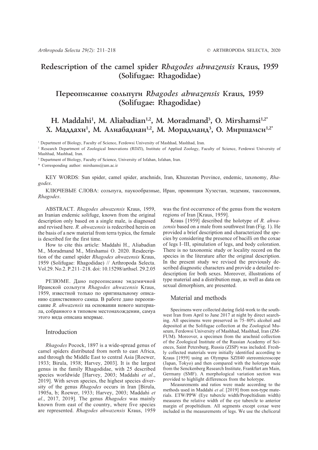 Redescription of the Camel Spider Rhagodes Ahwazensis Kraus, 1959 (Solifugae: Rhagodidae)