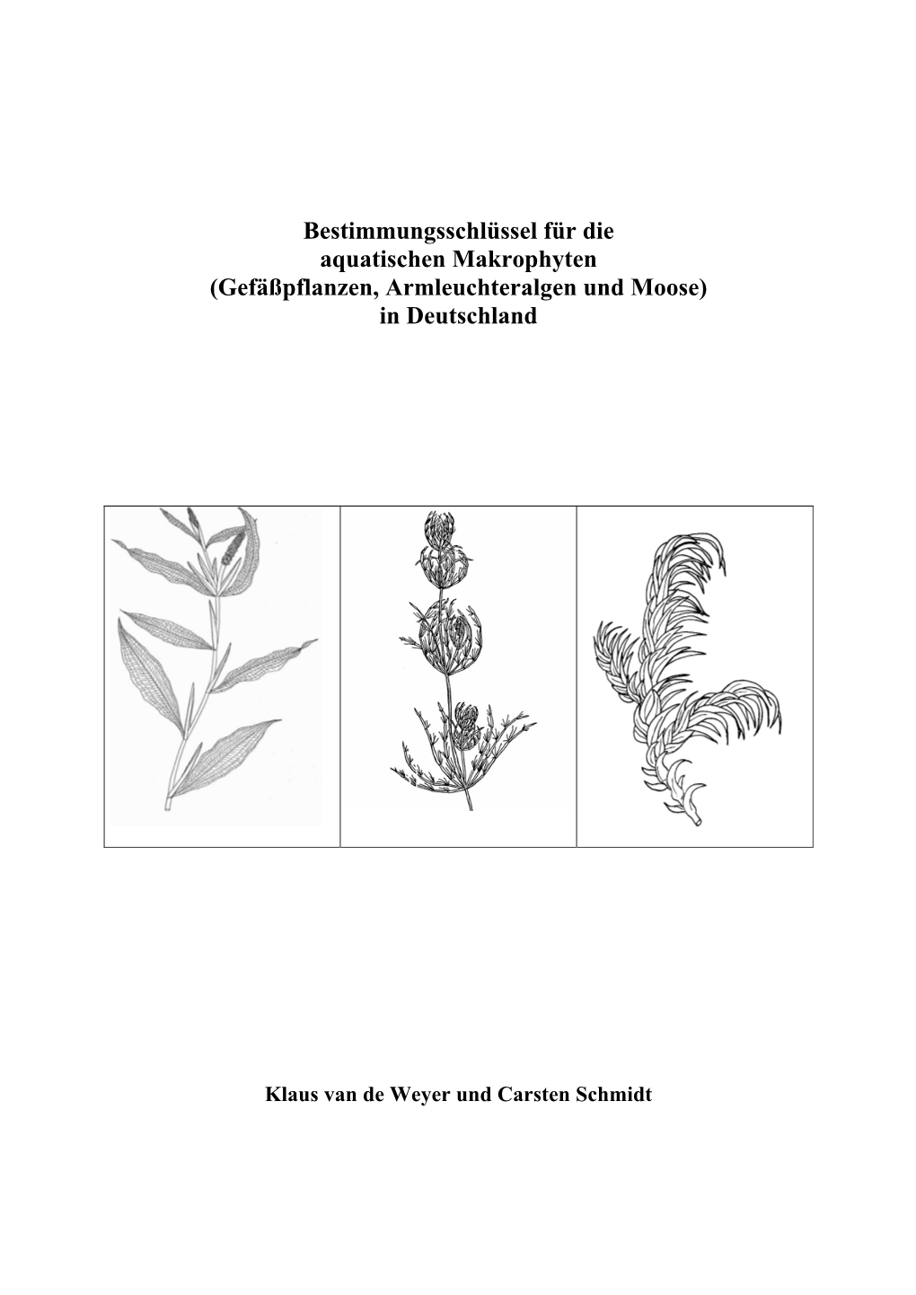 Bestimmungsschlüssel Makrophyten Deutschland