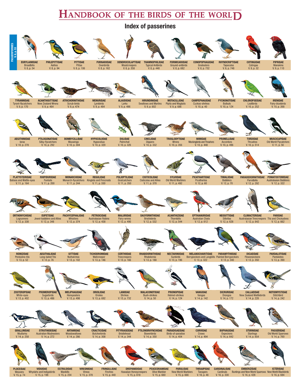 Index of Passerines