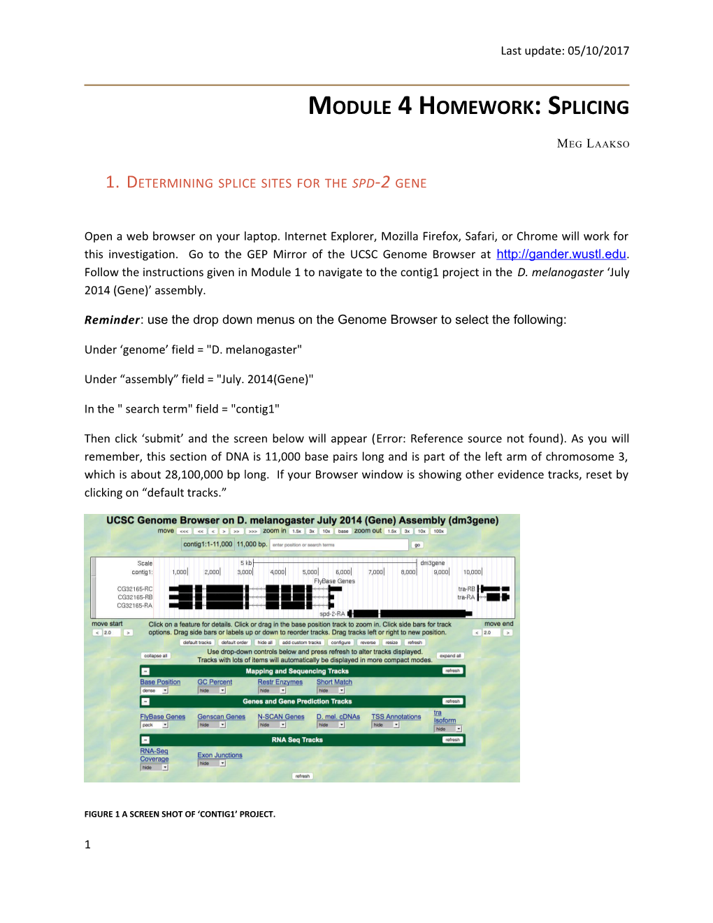 Determining Splice Sites for the Spd-2 Gene