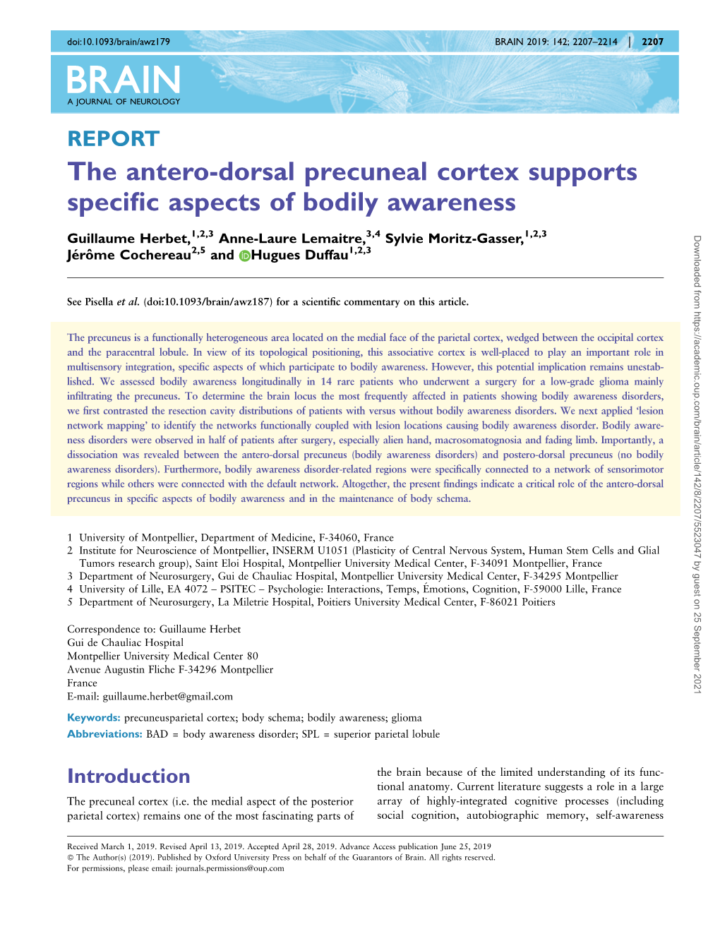 The Antero-Dorsal Precuneal Cortex Supports Specific Aspects of Bodily