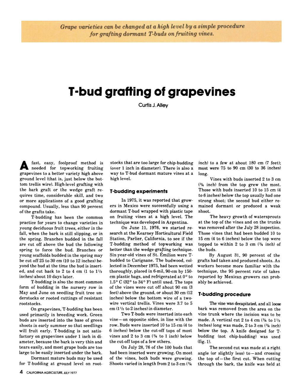 T-Bud Grafting of Grapevines