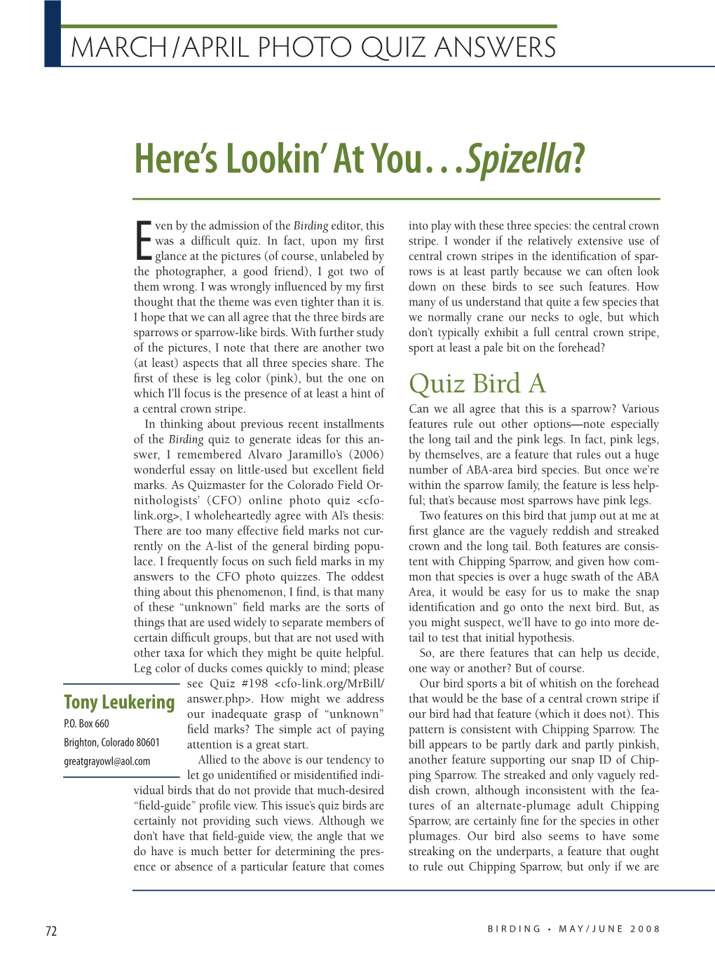 Here's Lookin' at You…Spizella?