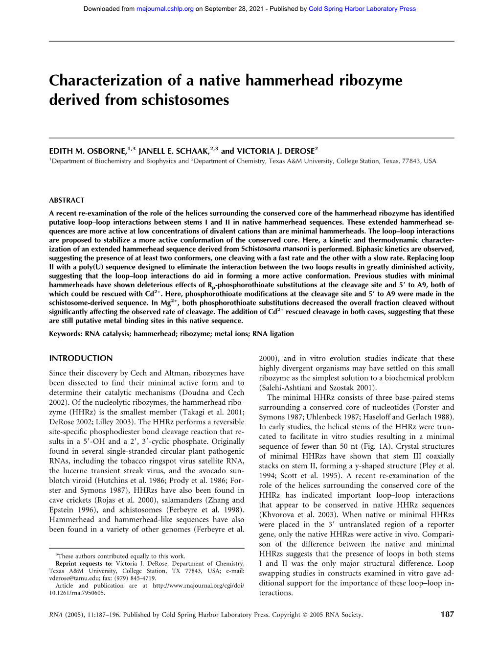 Characterization of a Native Hammerhead Ribozyme Derived from Schistosomes