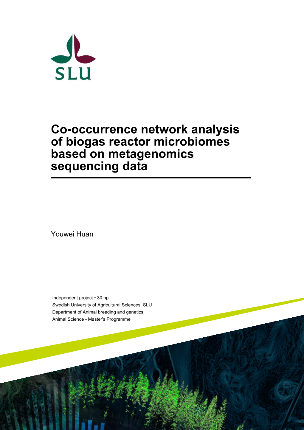 Co-Occurrence Network Analysis of Biogas Reactor Microbiomes Based on Metagenomics Sequencing Data