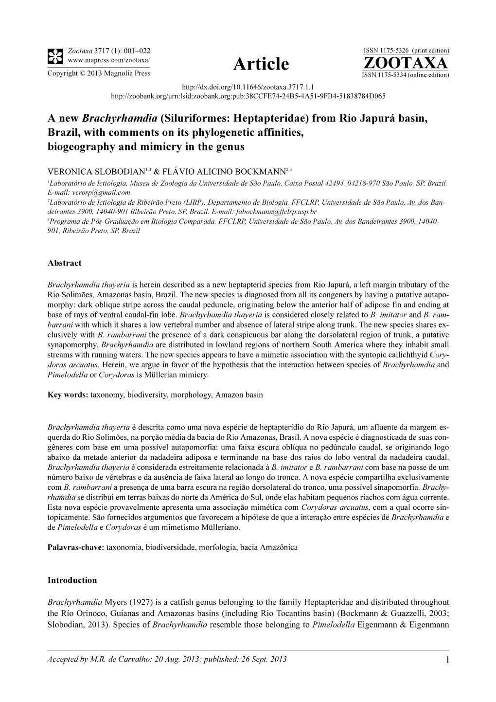 A New Brachyrhamdia (Siluriformes: Heptapteridae) from Rio Japurá Basin, Brazil, with Comments on Its Phylogenetic Affinities, Biogeography and Mimicry in the Genus