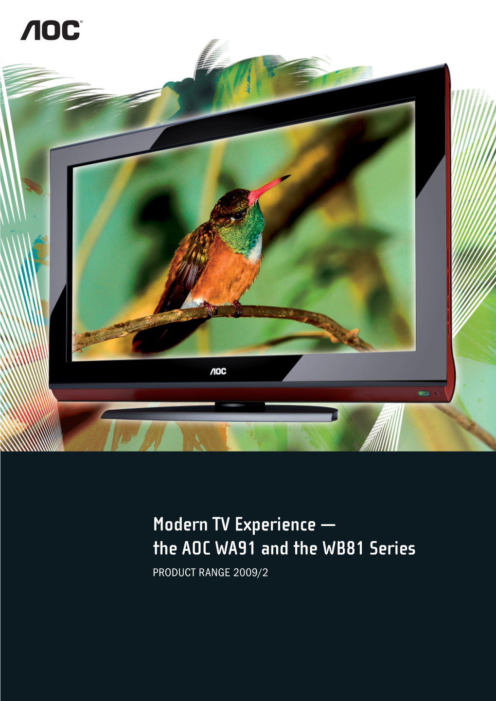 Modern TV Experience — the AOC WA91 and the WB81 Series PRODUCT RANGE 2009/2 MODERN TV EXPERIENCE– the AOC SERIES