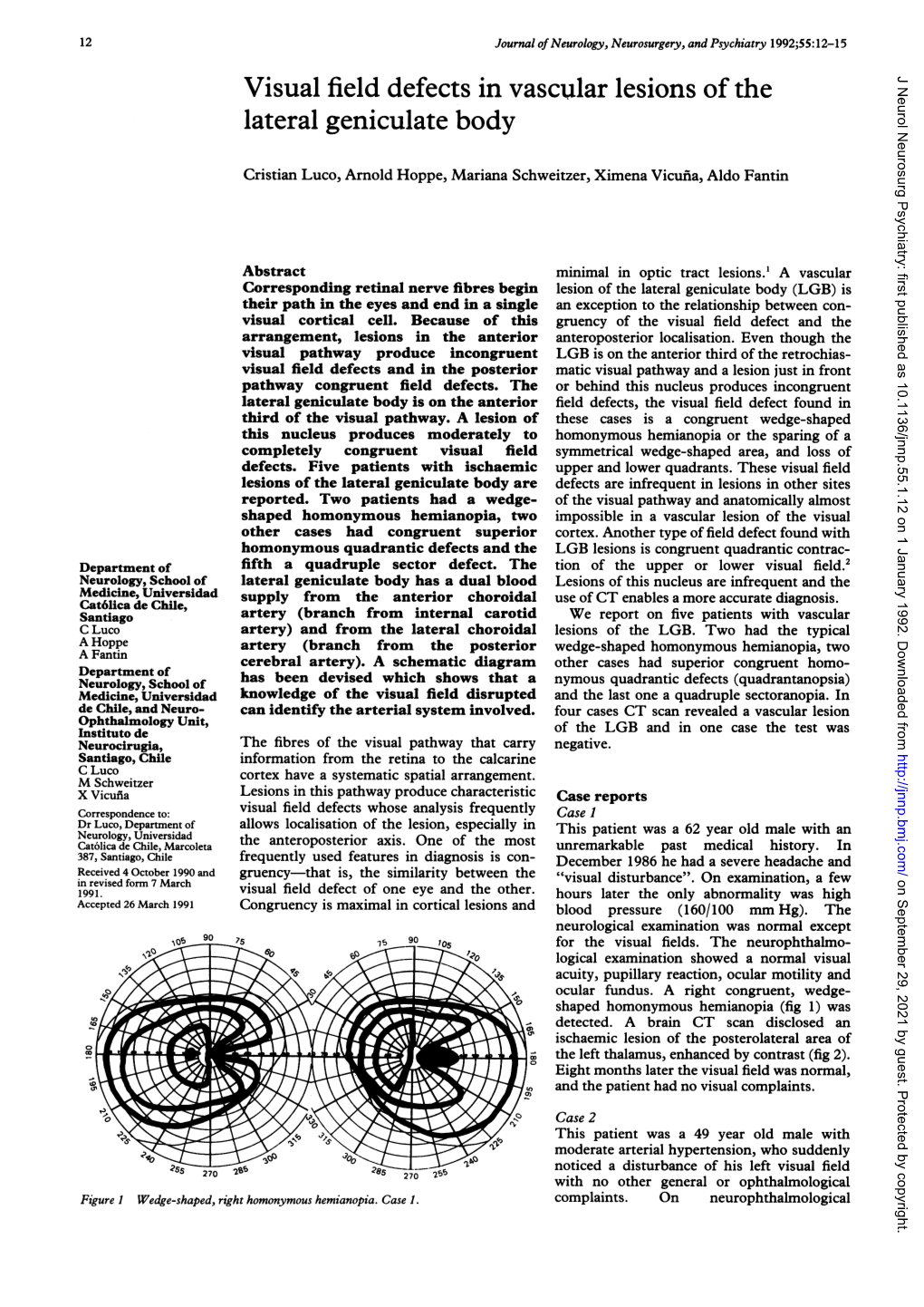 Visual Field Defects in Vascular Lesions of the Lateral Geniculate Body