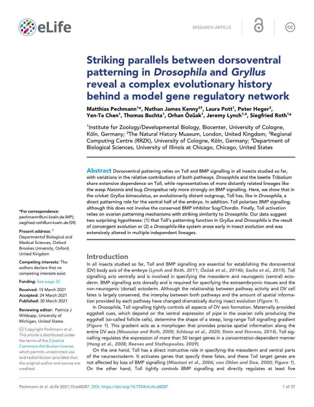 Striking Parallels Between Dorsoventral Patterning in Drosophila and Gryllus Reveal a Complex Evolutionary History Behind a Mode