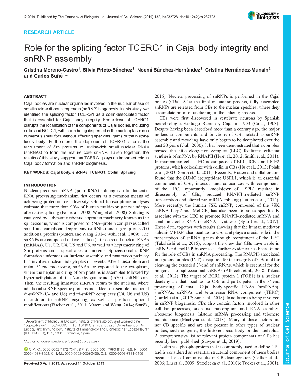 Role for the Splicing Factor TCERG1 in Cajal Body Integrity and Snrnp