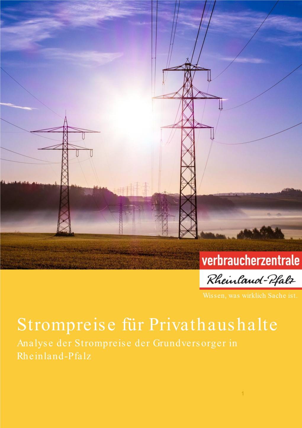 Strompreise Für Privathaushalte Analyse Der Strompreise Der Grundversorger in Rheinland-Pfalz