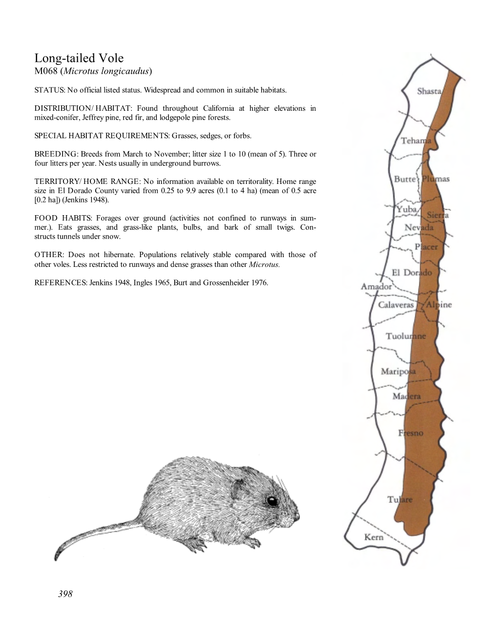 Long-Tailed Vole M068 (Microtus Longicaudus)