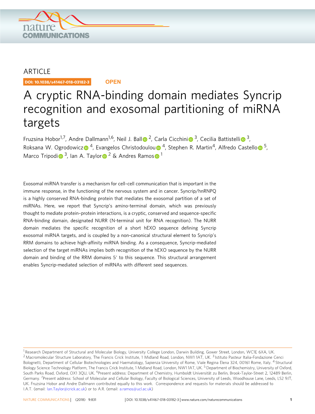 A Cryptic RNA-Binding Domain Mediates Syncrip Recognition and Exosomal Partitioning of Mirna Targets