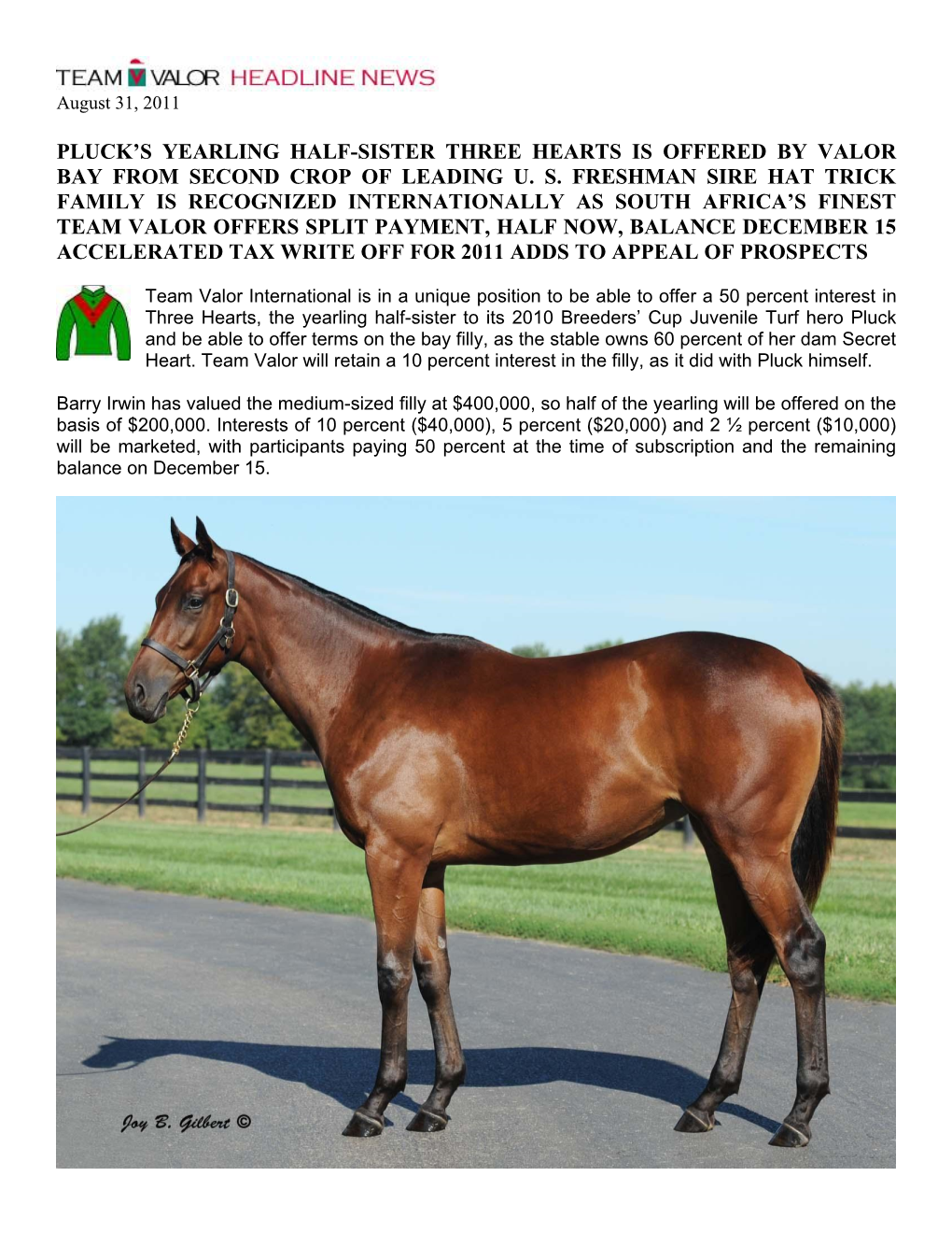 Team Valor Offers Pluck's Yearling Half Sister Three Hearts, Bay Is