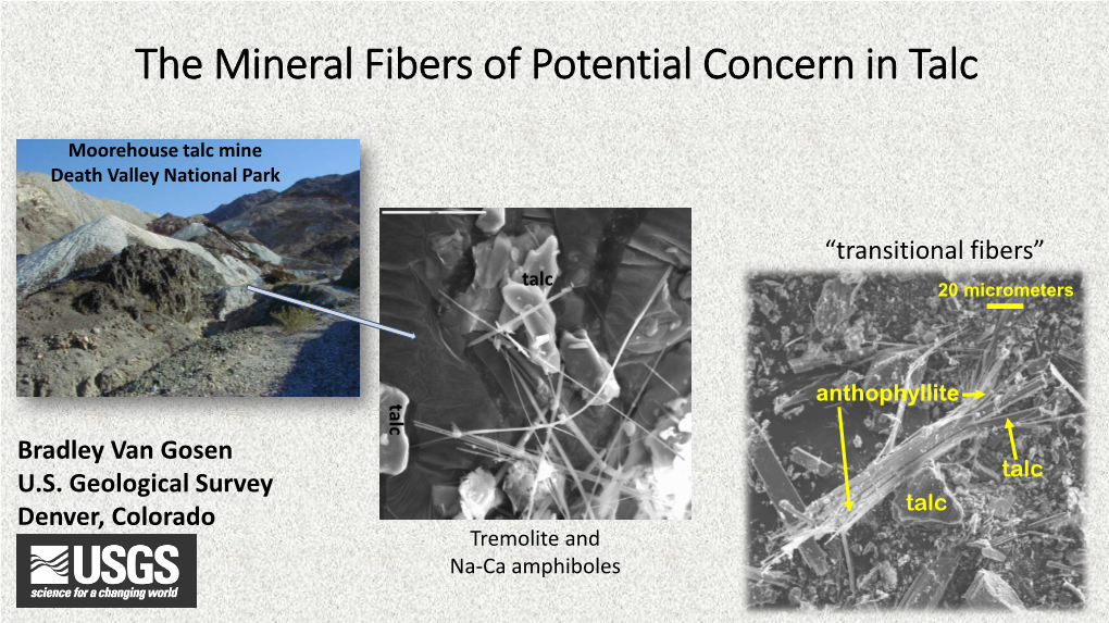 The Mineral Fibers of Potential Concern in Talc