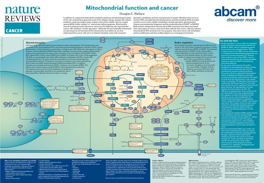 Mitochondrial Function and Cancer Douglas C