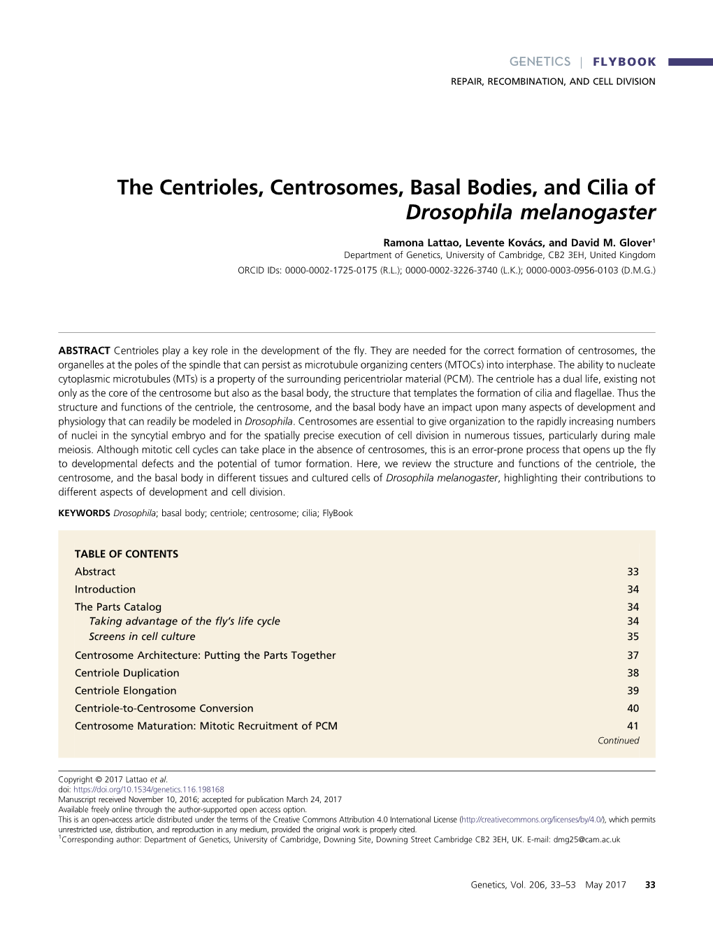 The Centrioles, Centrosomes, Basal Bodies, and Cilia of Drosophila Melanogaster