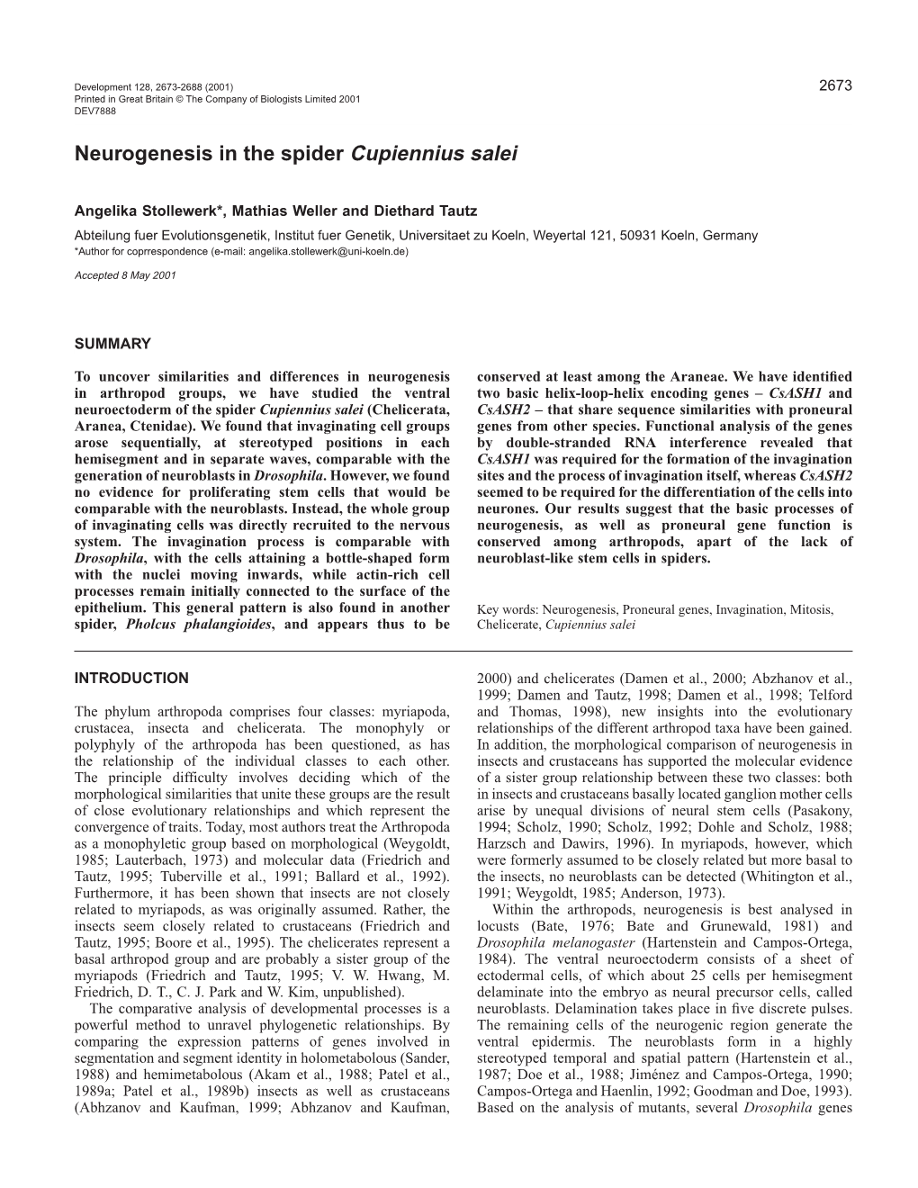 Neurogenesis in C. Salei 2675