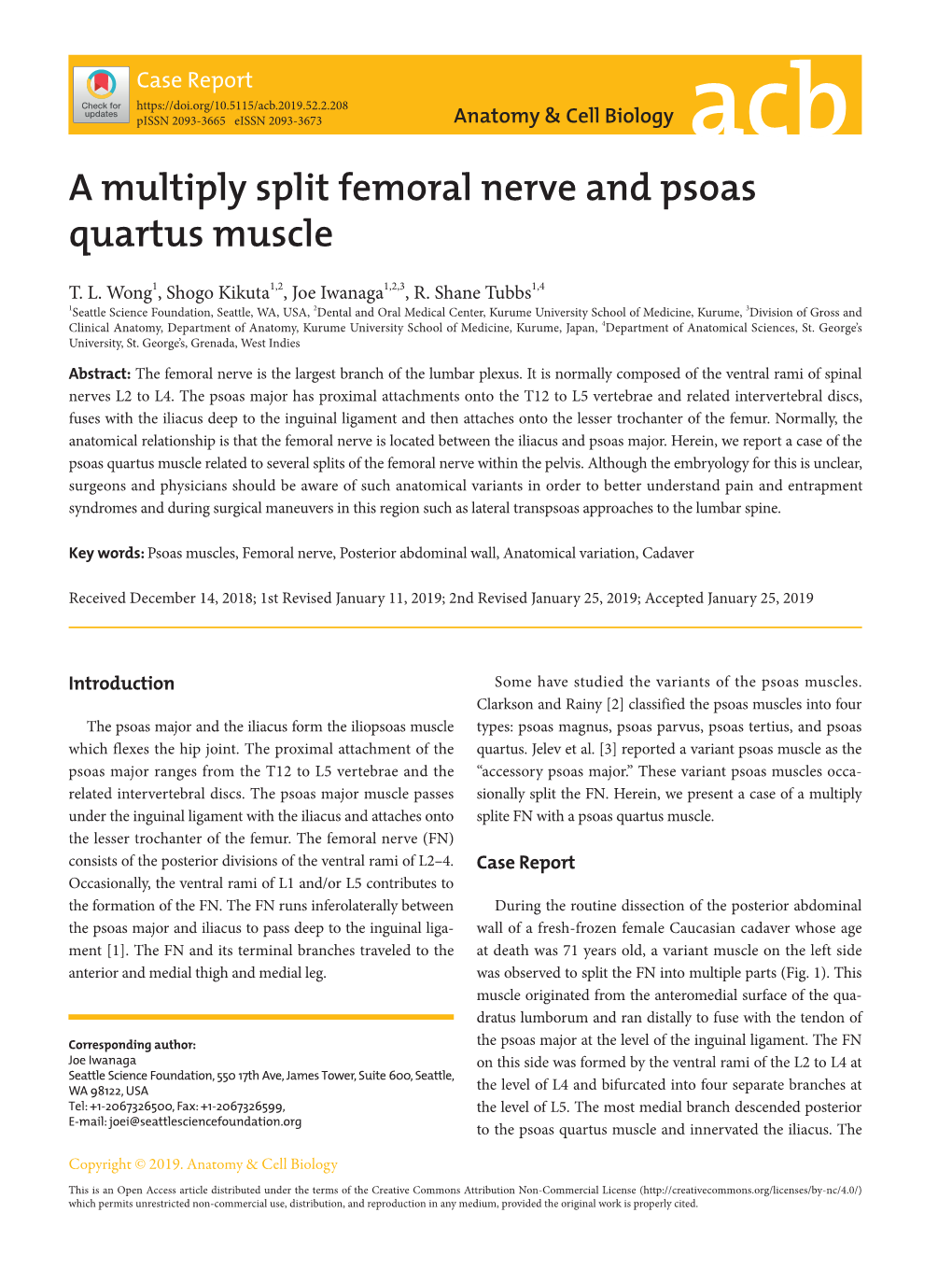 A Multiply Split Femoral Nerve and Psoas Quartus Muscle