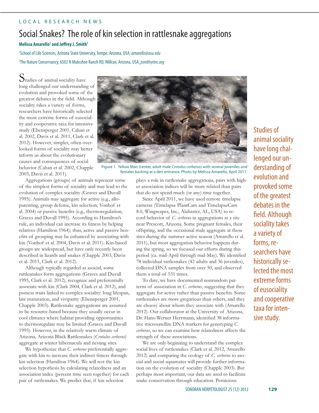 Social Snakes? the Role of Kin Selection in Rattlesnake Aggregations Melissa Amarello1 and Jeffrey J