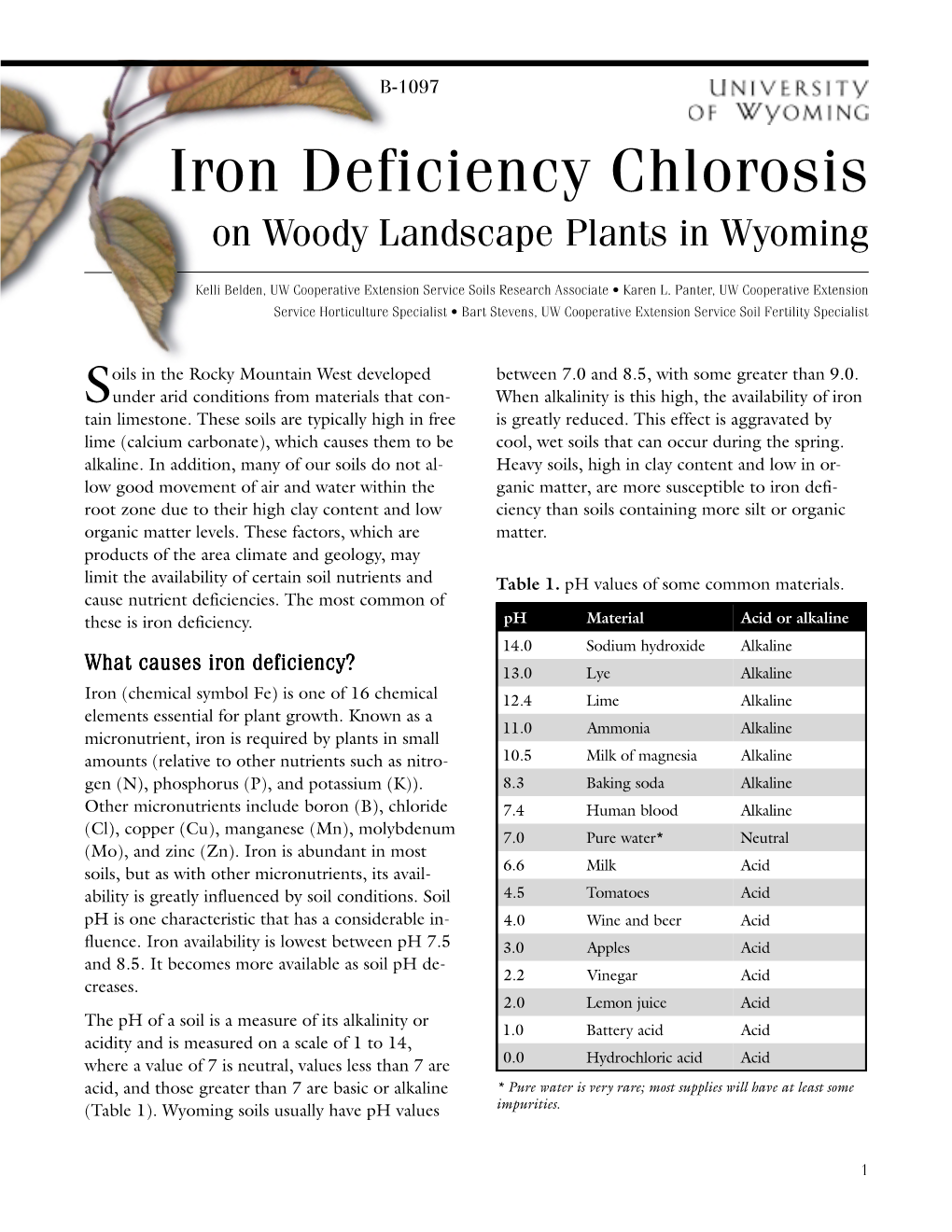 Iron Deficiency Chlorosis on Woody Landscape Plants in Wyoming