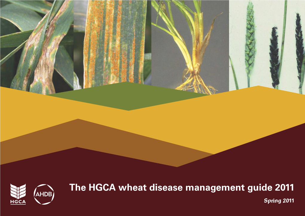 Wheat Disease Management Guide 2011