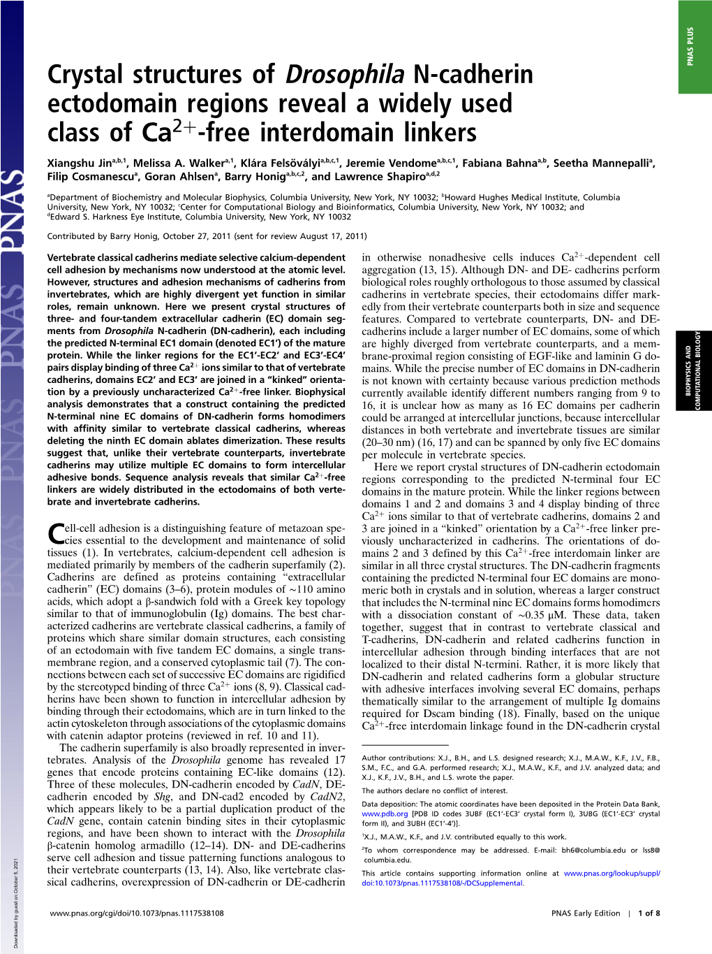 Crystal Structures of Drosophila N-Cadherin Ectodomain