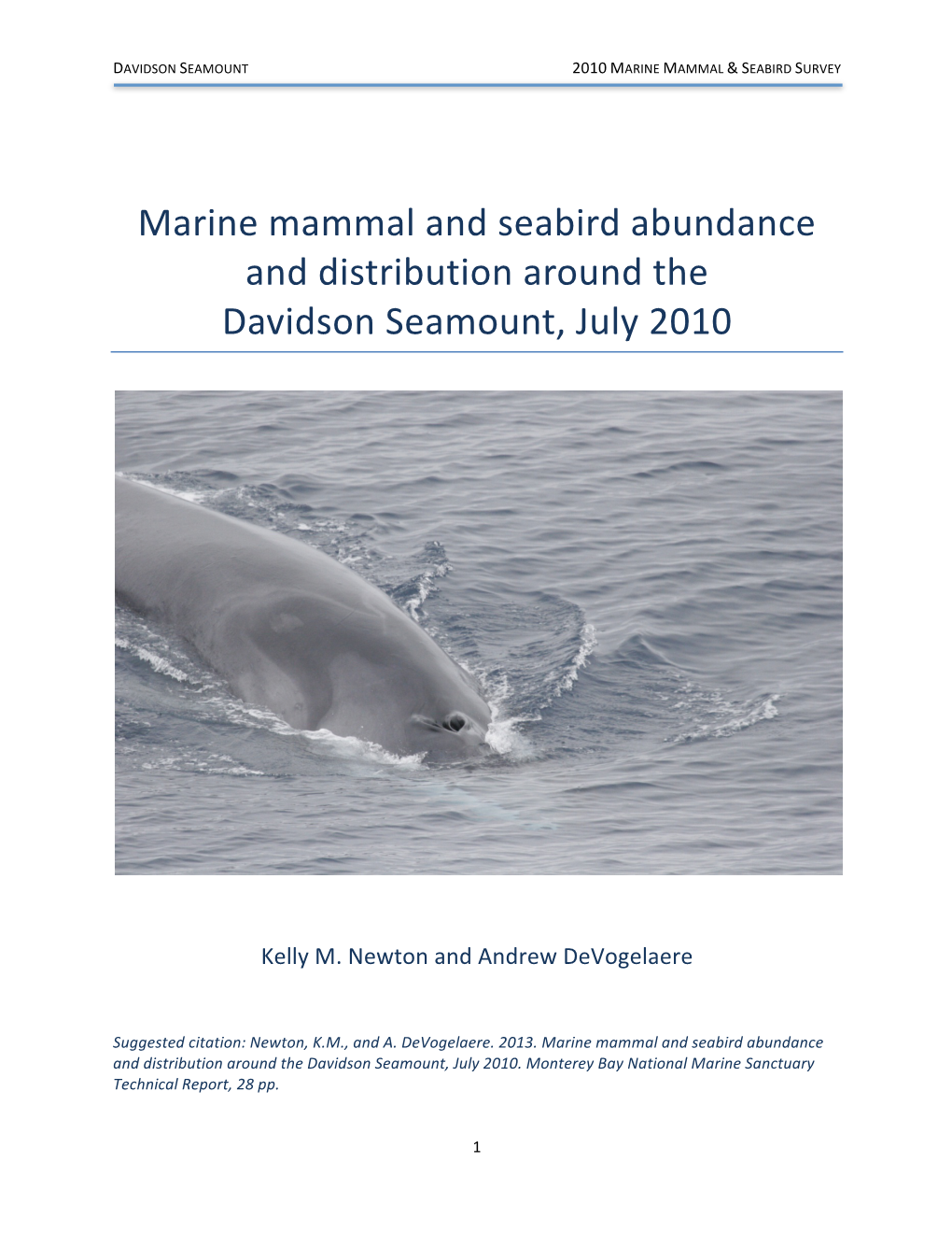 Marine Mammal and Seabird Abundance and Distribution Around the Davidson Seamount, July 2010