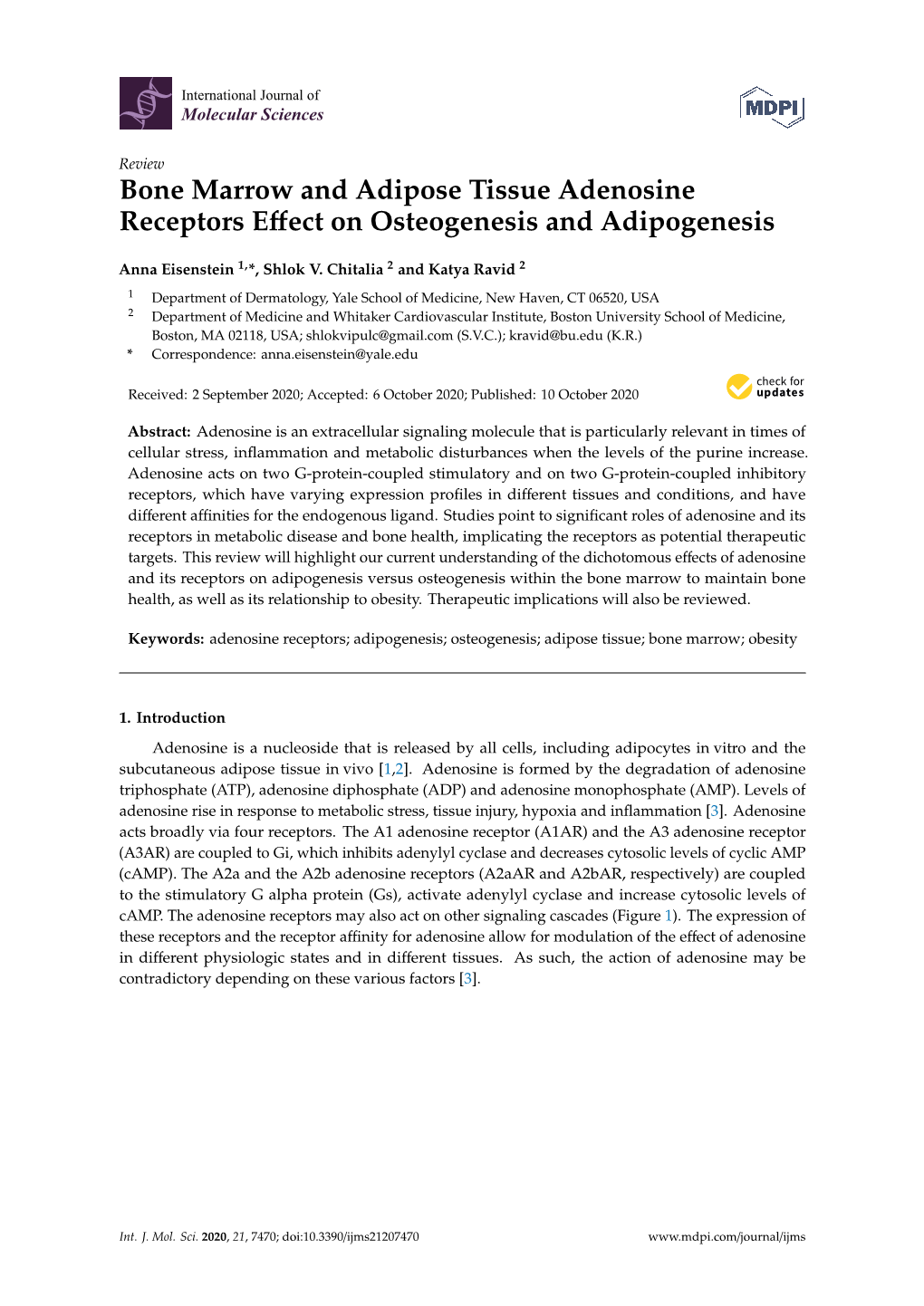 Bone Marrow and Adipose Tissue Adenosine Receptors Effect