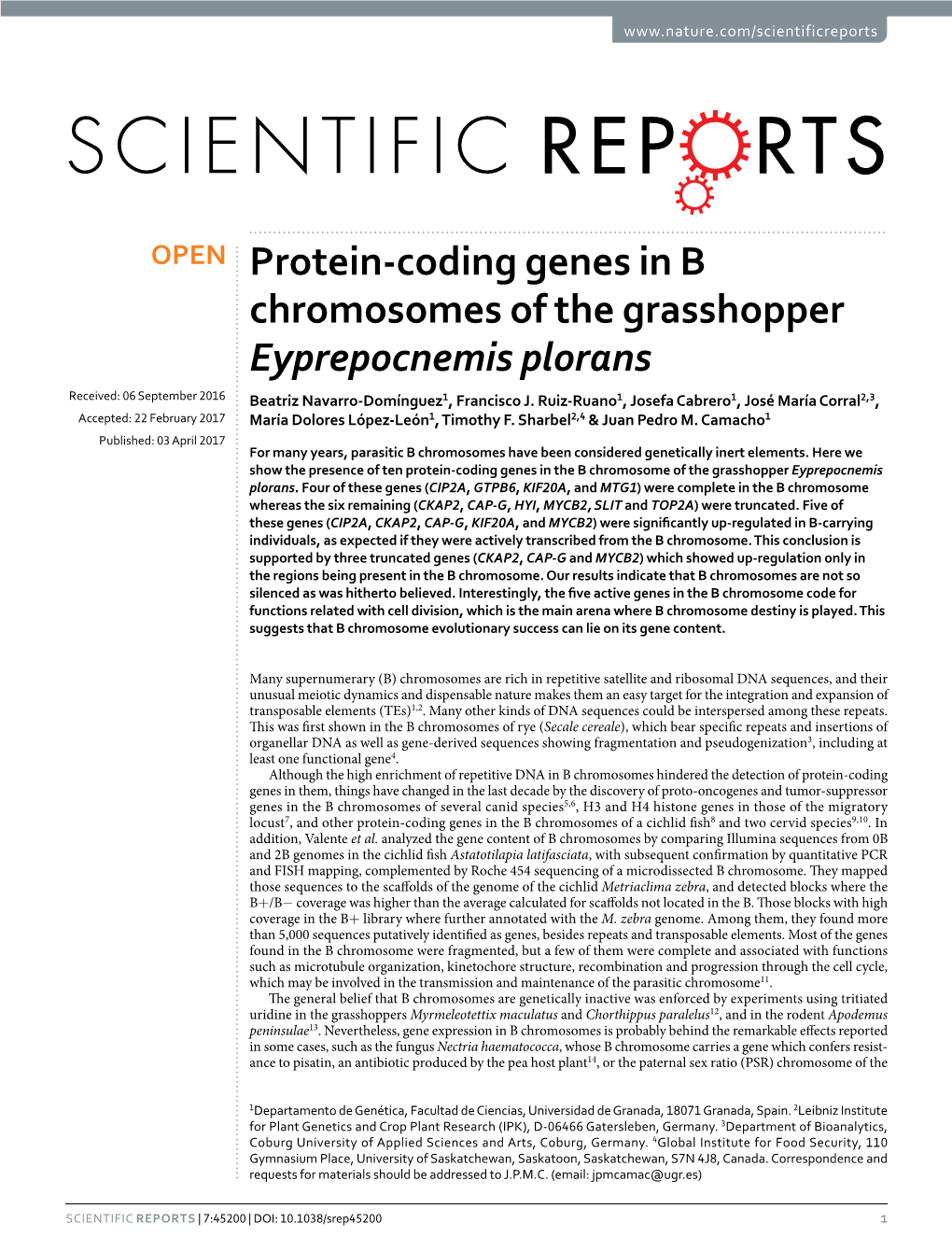 Protein-Coding Genes in B Chromosomes of the Grasshopper Eyprepocnemis Plorans Received: 06 September 2016 Beatriz Navarro-Domínguez1, Francisco J