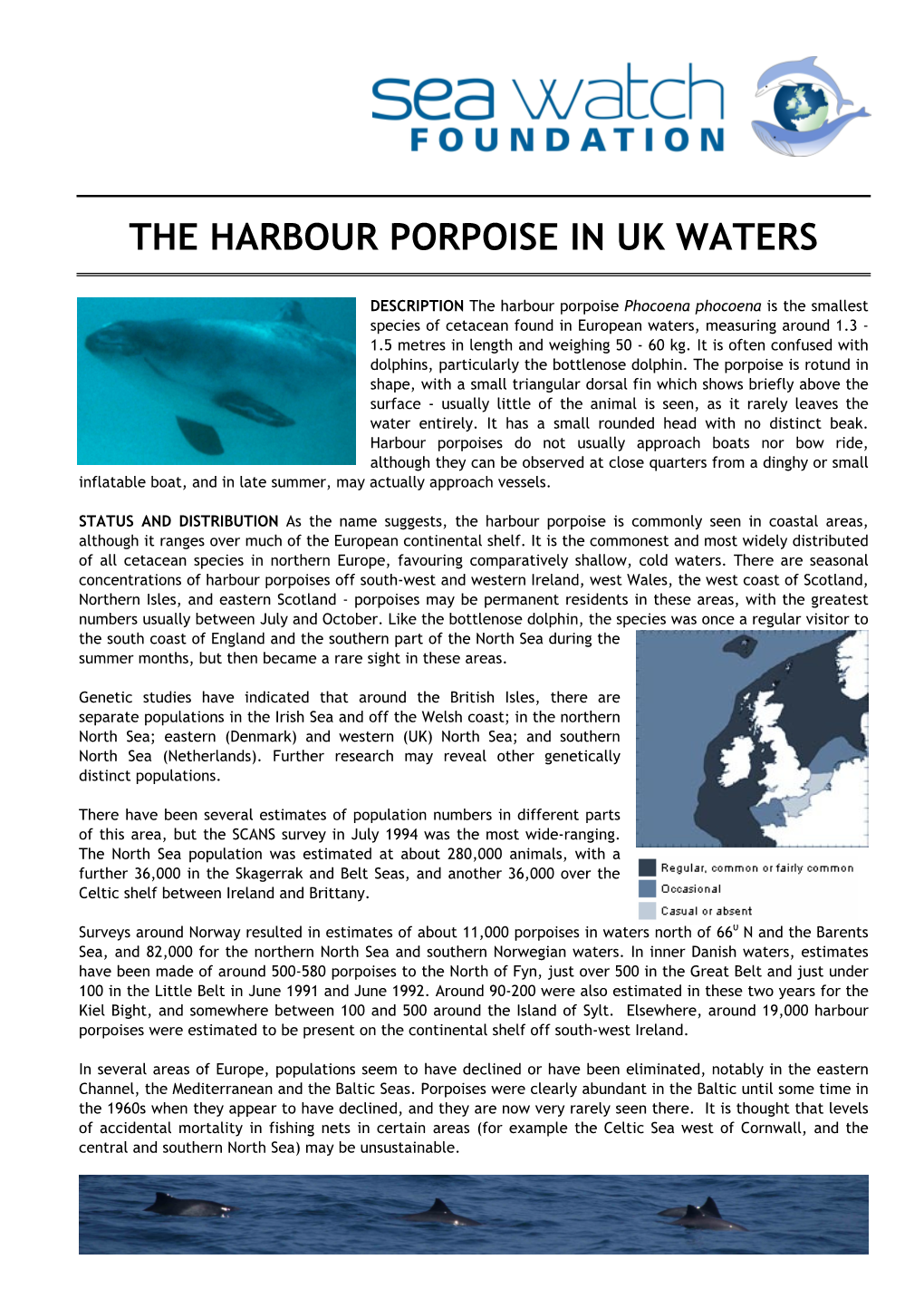 The Harbour Porpoise in Uk Waters