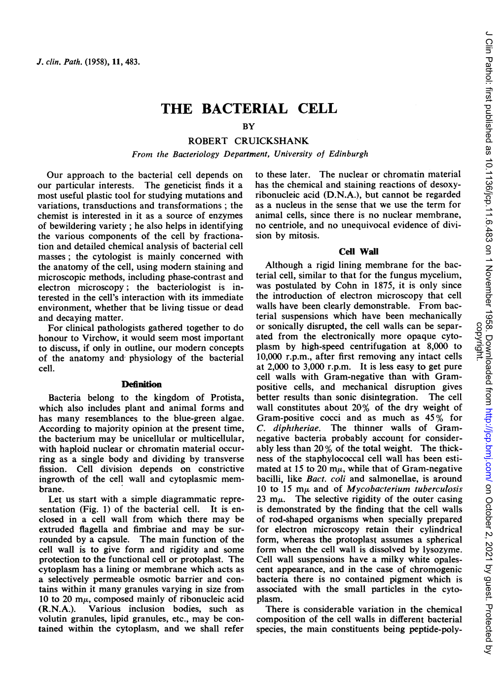 THE BACTERIAL CELL by ROBERT CRUICKSHANK from the Bacteriology Department, University of Edinburgh Our Approach to the Bacterial Cell Depends on to These Later