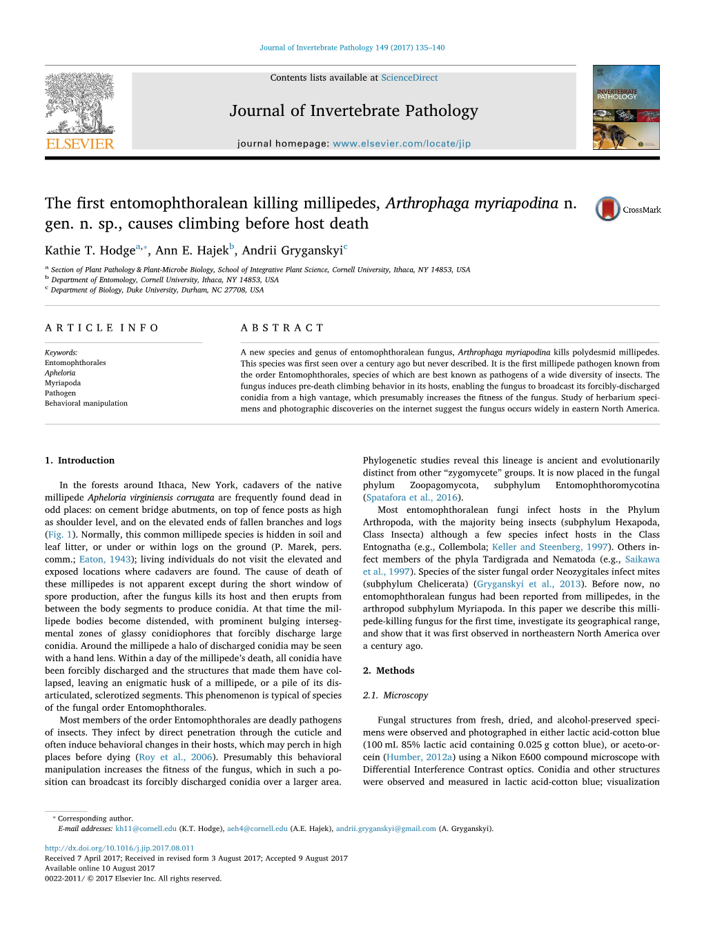 The First Entomophthoralean Killing Millipedes, Arthrophaga Myriapodina N. Gen. N. Sp., Causes Climbing Before Host Death