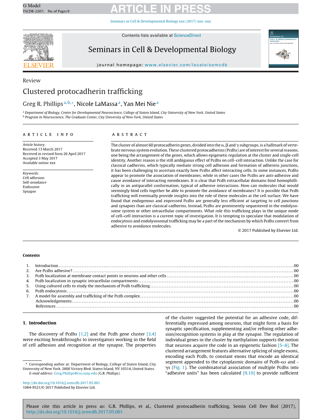 Clustered Protocadherin Trafficking