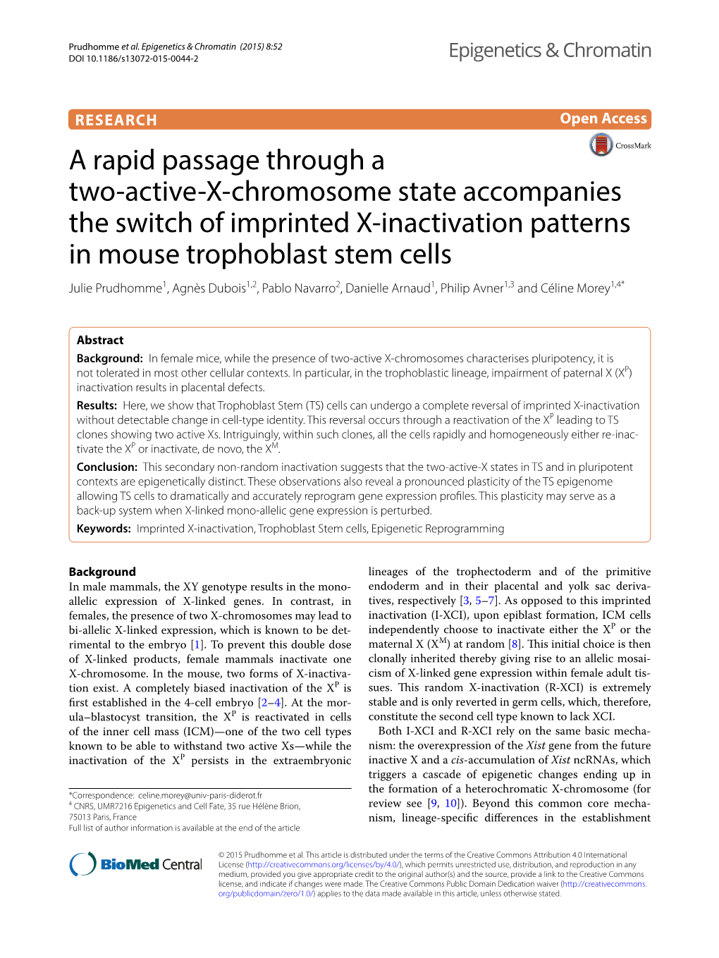 A Rapid Passage Through a Two-Active-X-Chromosome State