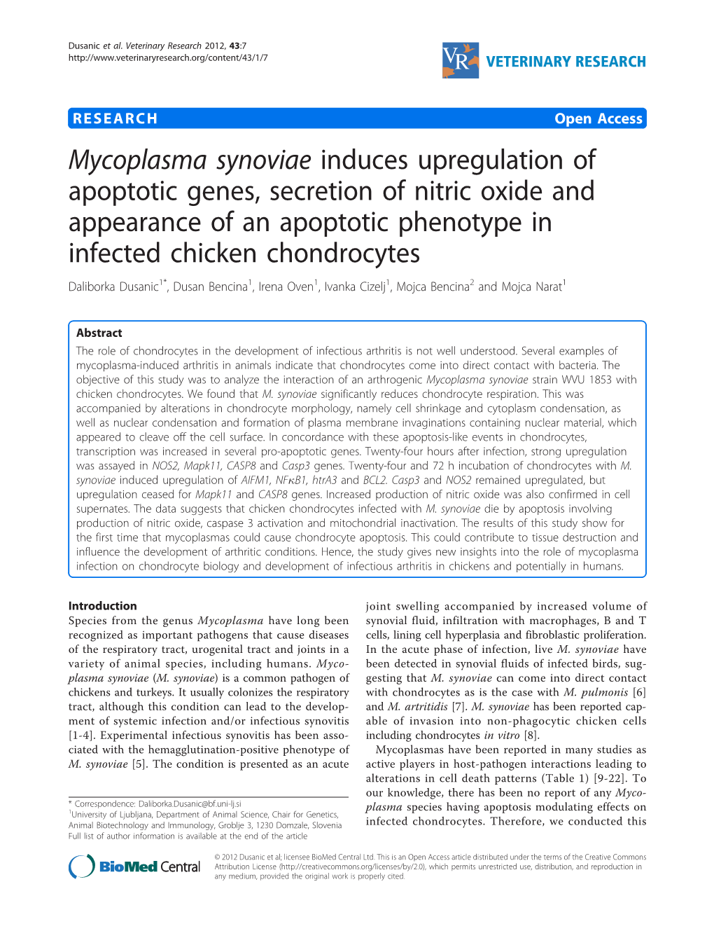 Mycoplasma Synoviae