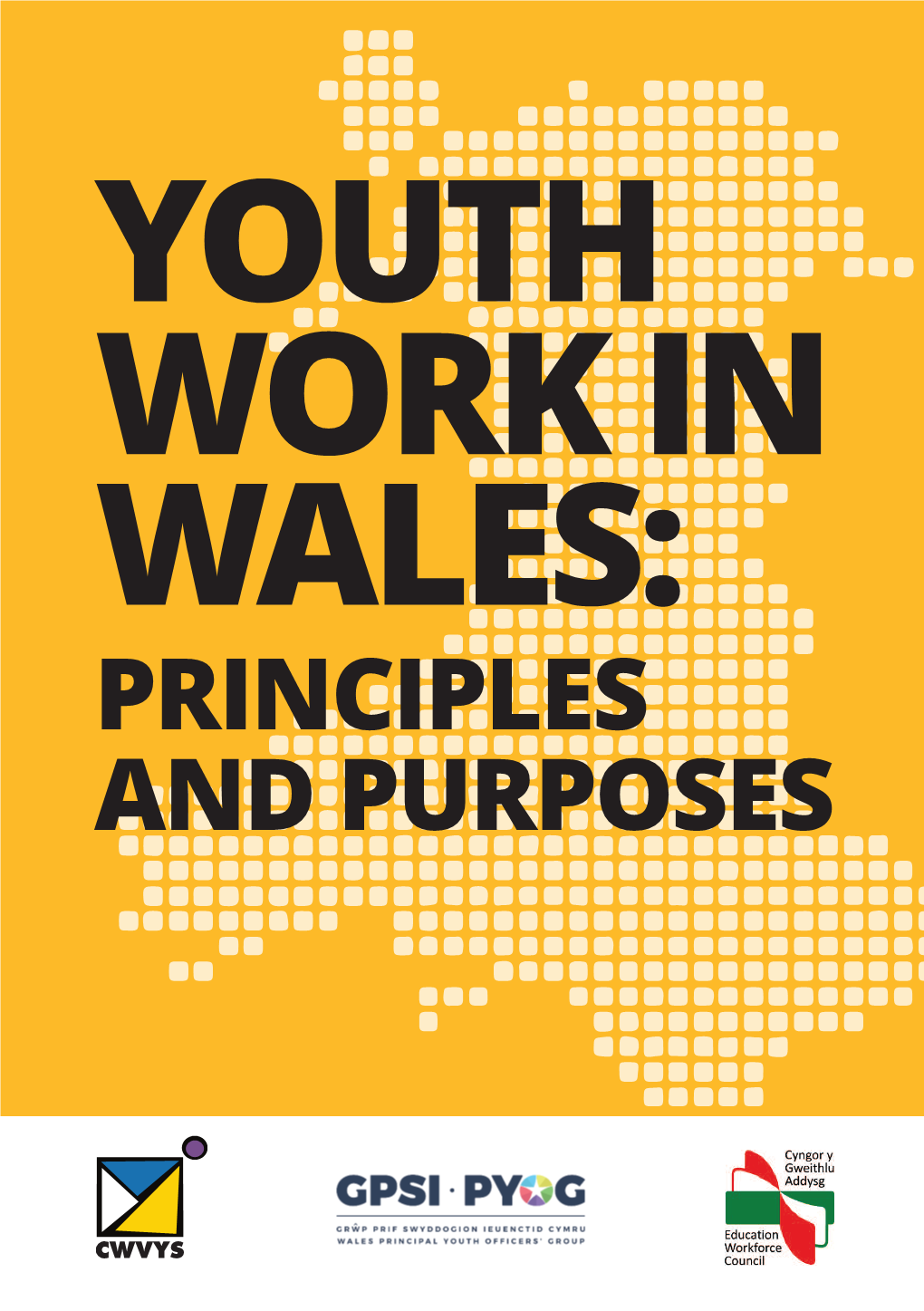 Youth Work in Wales: Principles and Purposes Introduction