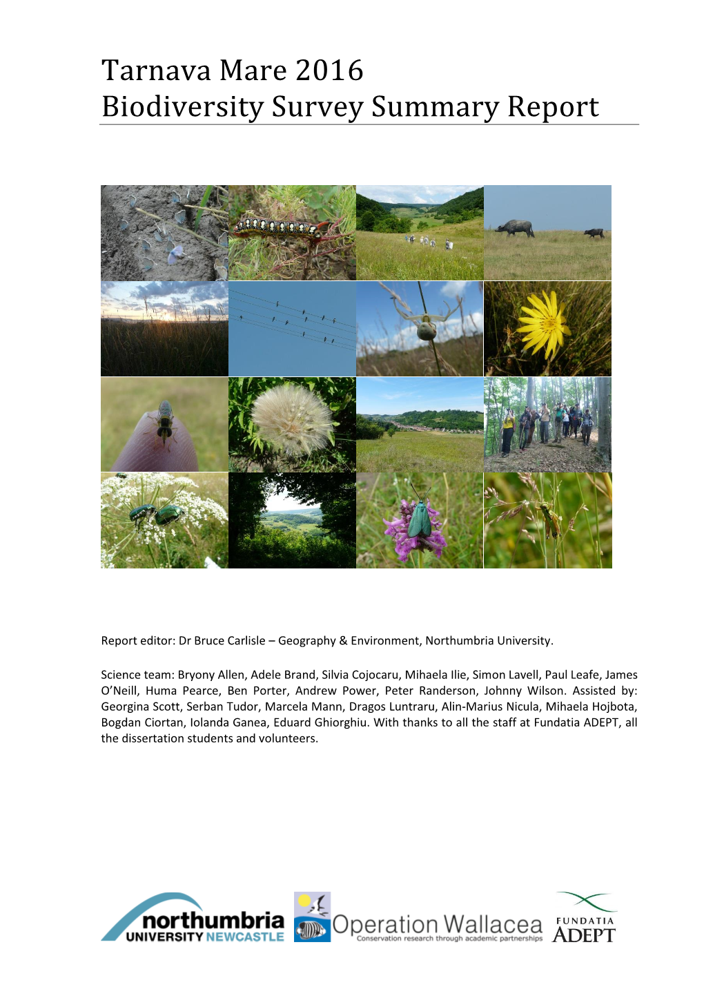 Tarnava Mare 2016 Biodiversity Survey Summary Report