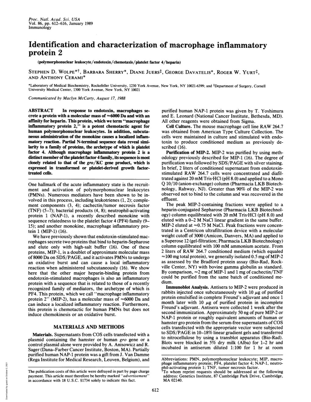 Identification and Characterization of Macrophage Inflammatory Protein 2 (Polymorphonuclear Leukocyte/Endotoxin/Chemotaxis/Platelet Factor 4/Heparin) STEPHEN D