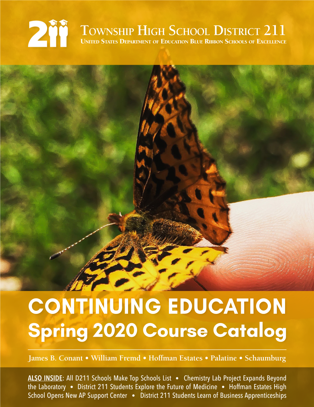 Continuing Education Catalog on the Web? Yes, the Continuing Education Catalog Is Located on the District 211 Website at Adc.D211.Org