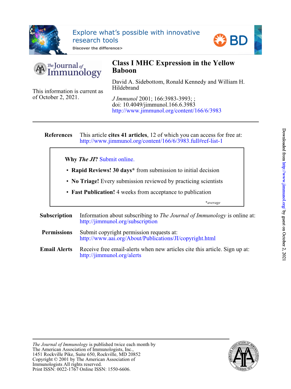 Baboon Class I MHC Expression in the Yellow